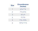 MalleoTrain® Support